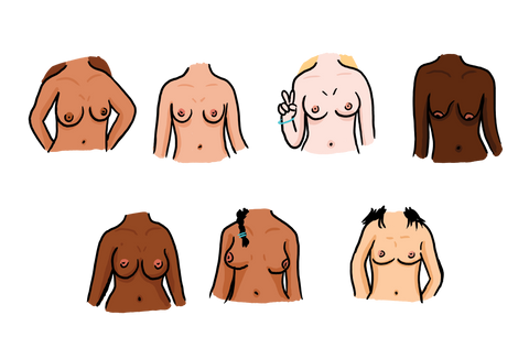 Breasts Illustration by Sarah Rebar