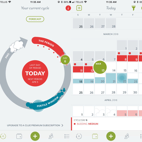 Clue Period Tracker App Review