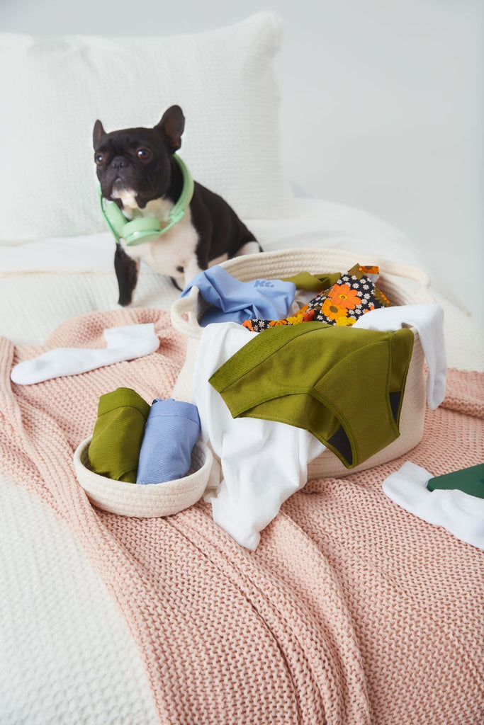 cute dog with period underwear